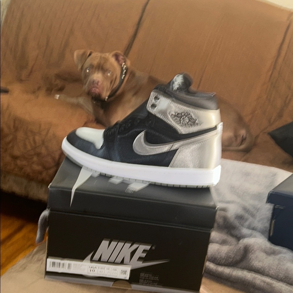 Nike Black and Silver High-Top Sneakers